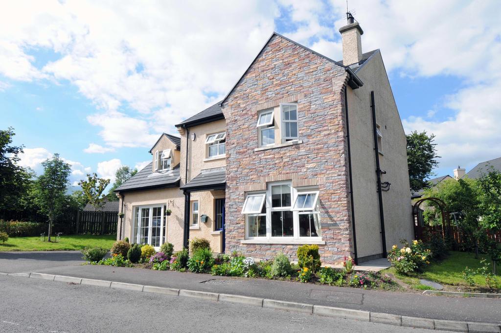 Slieve Rushen Bed & Breakfast Derrylin Екстериор снимка